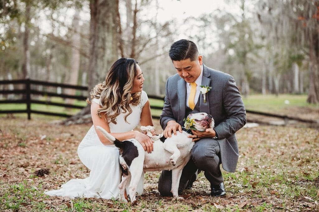 bride and groom kneeling and petting their dog on their wedding day