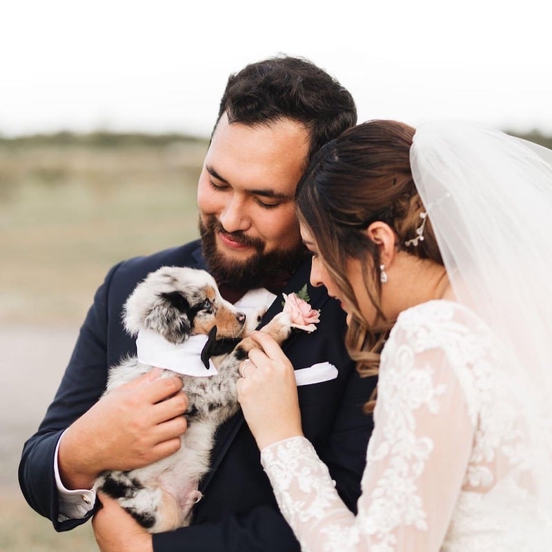 groom holding a puppy while the bride pets the puppy