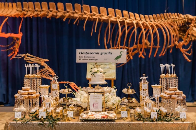 large dessert table set up at museum in front of dinosaur skeleton