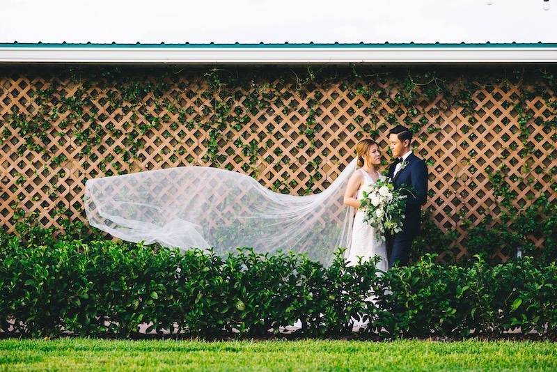 bride and groom standing in garden near green hedges