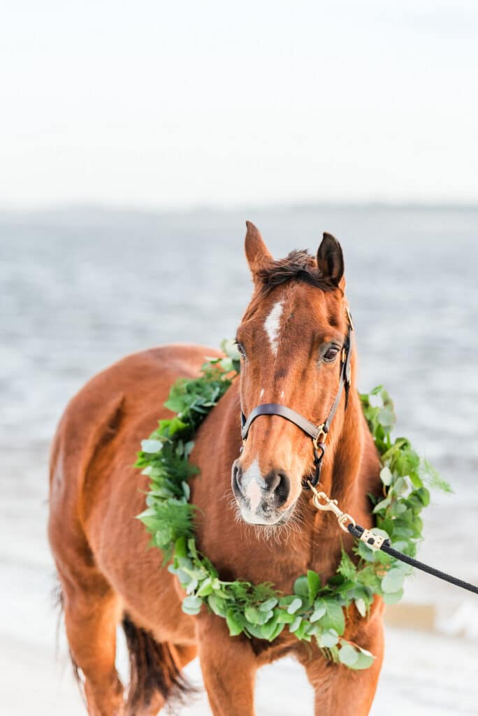 horse standing on the beach with greenery around its neck for the amelia island beach wedding inspiration shoot
