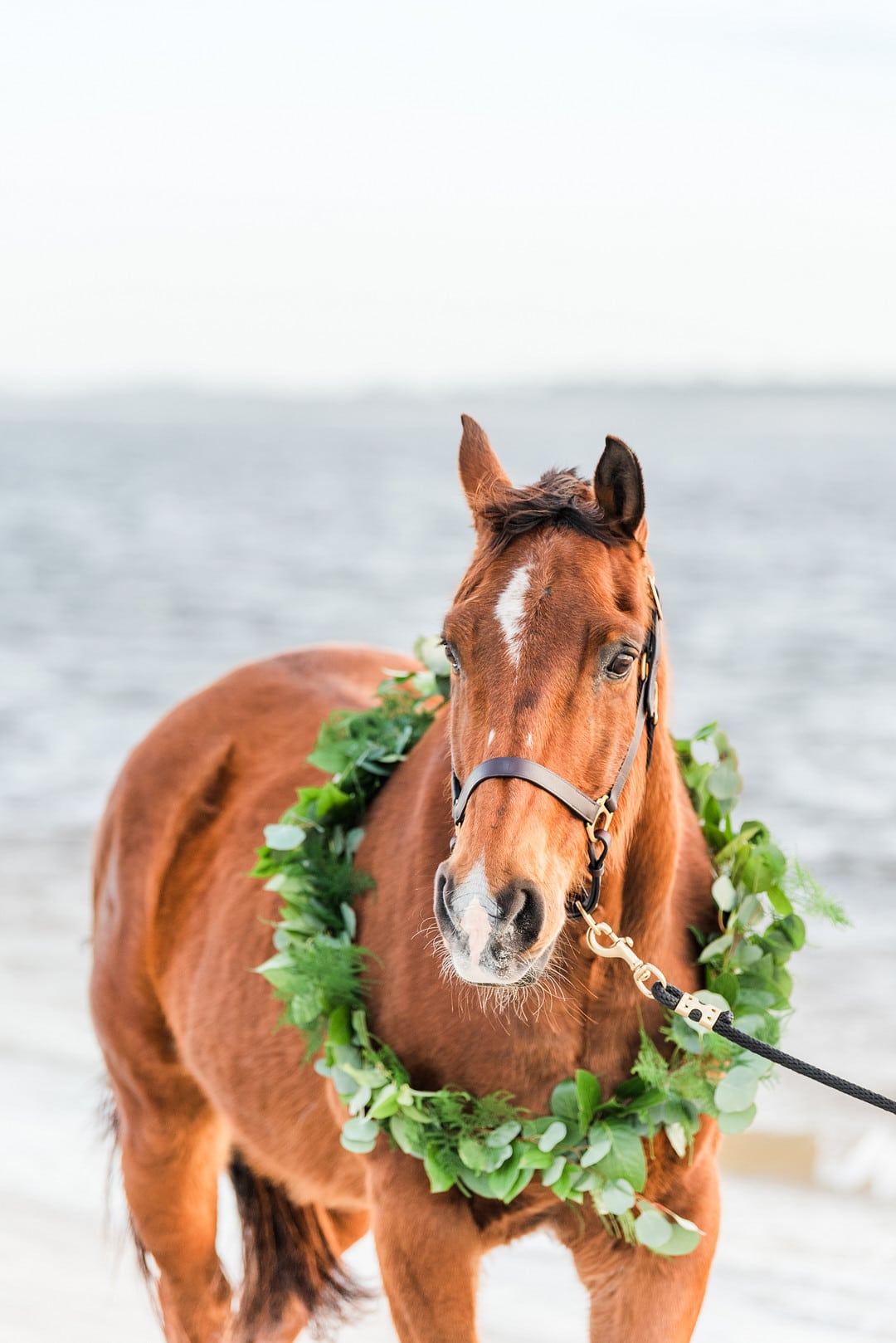 Romantic, Spring Styled Wedding with Horses on the Beach_Christine Austin Photography_©christineaustinphotography_2021_RomanticBeachStyledShoot_Horses_66_low
