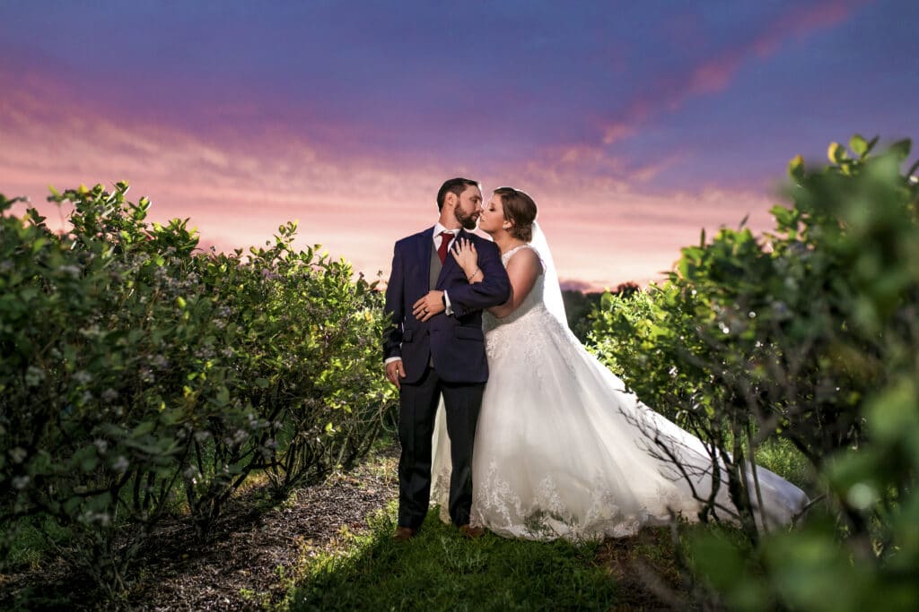 bride and groom kissing in a field at sunset
