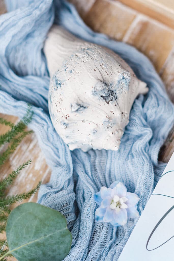 a large shell and blue flowers lying on a blue fabric woth greenery surrounding
