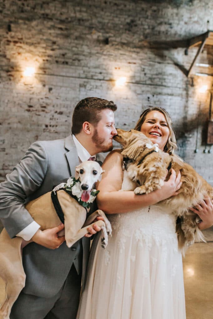 Bride and groom holding their dogs. One of the dogs is licking the groom's face and the bride is laughing.
