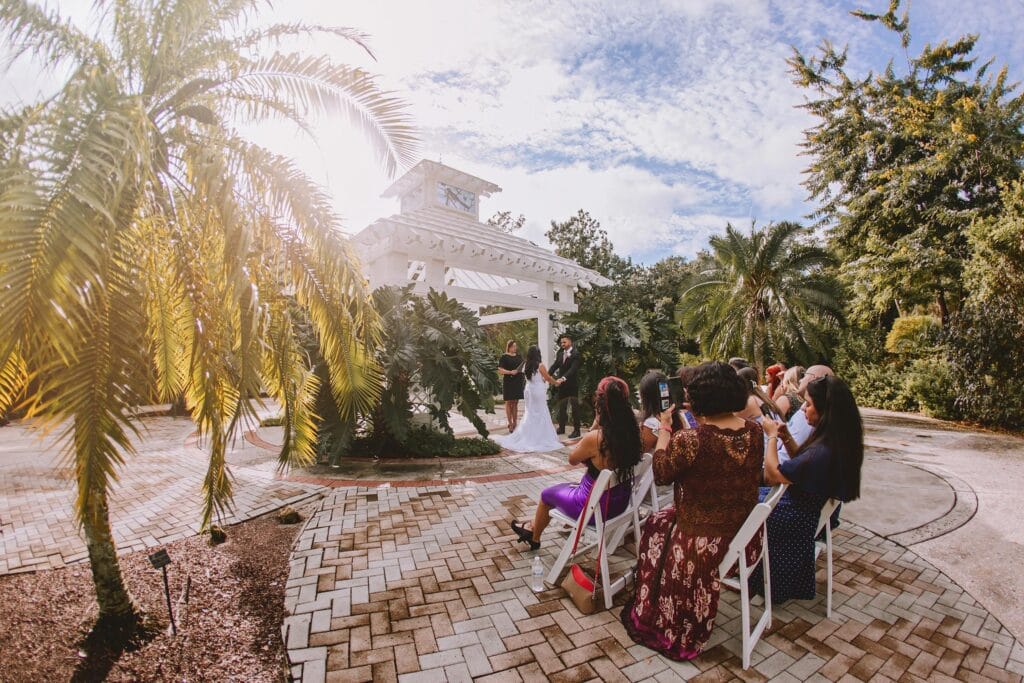 Wedding ceremony outdoors with palm tree