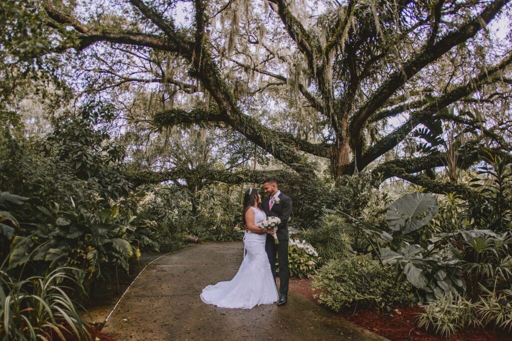 Bride and Groom under large tree
