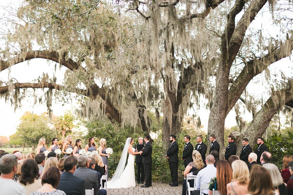 wedding ceremony under oak with Spanish moss