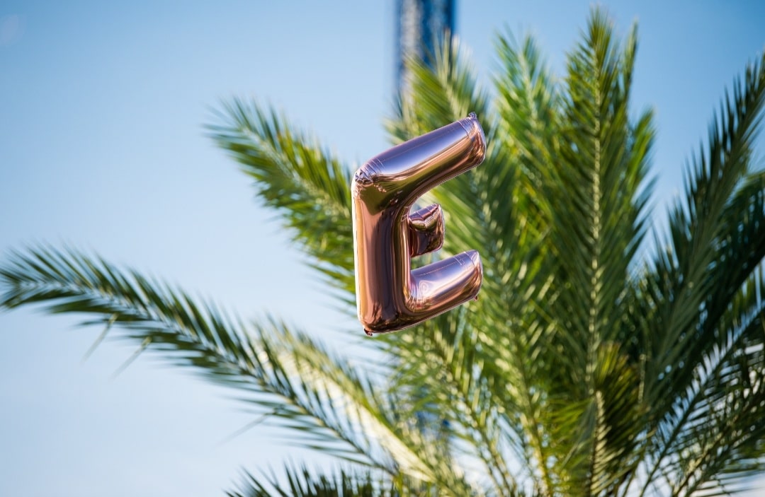 the letter e on a balloon floating into the sky with a palm tree in the background.