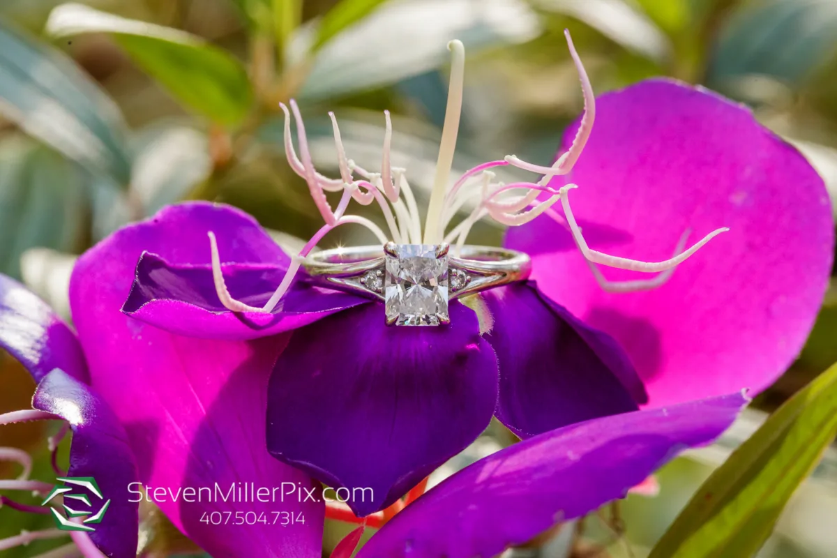 Steven Miller Photography