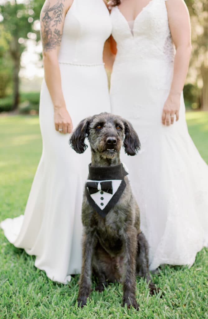 Brides with their dog