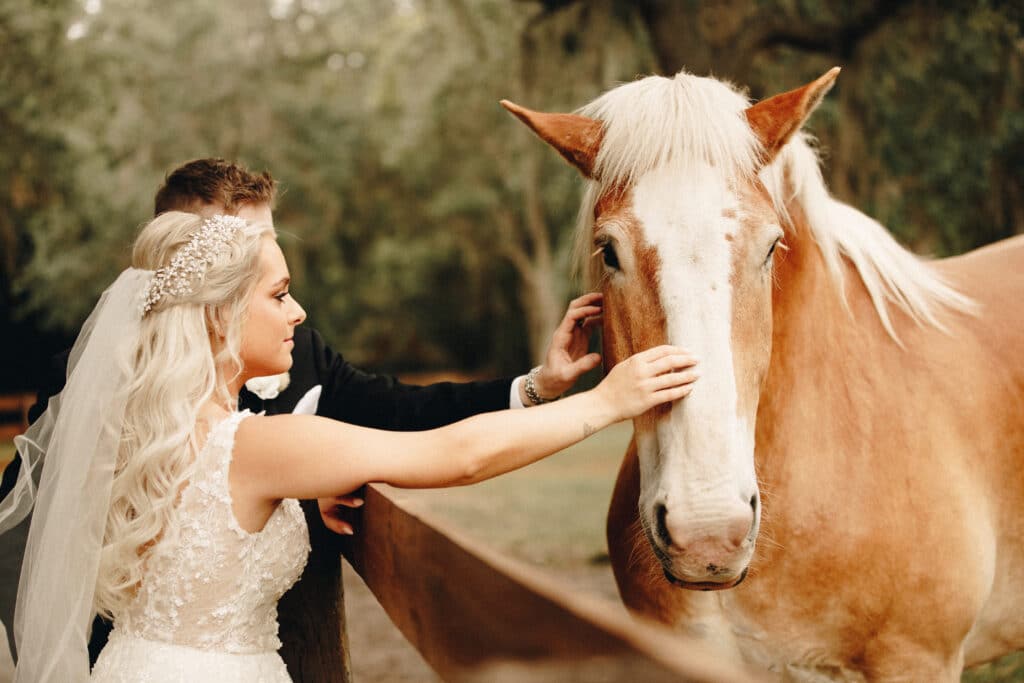 A bride and groom petting a horse