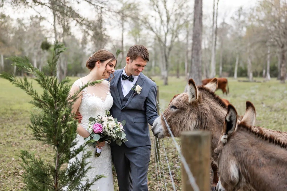 Dreamscape Photography + Video