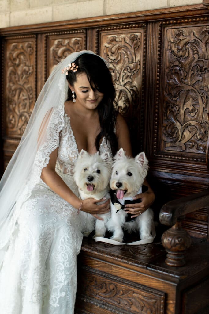 bride with west highland terriers