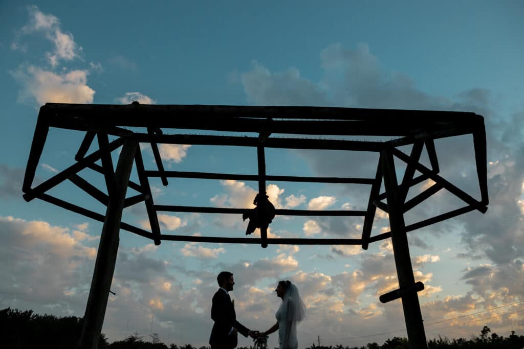 couple holding hands silhouetted against evening sky
