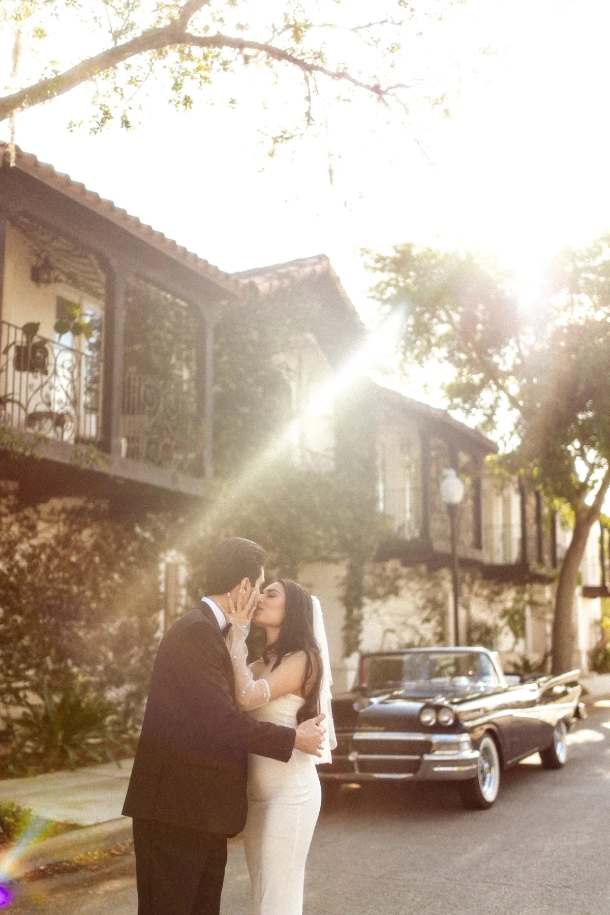 Contempo Photos and Videos