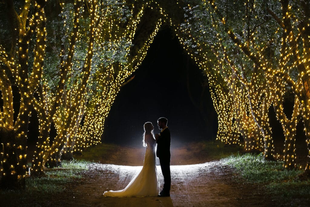 bride and groom kissing under trees covered in christmas lights
