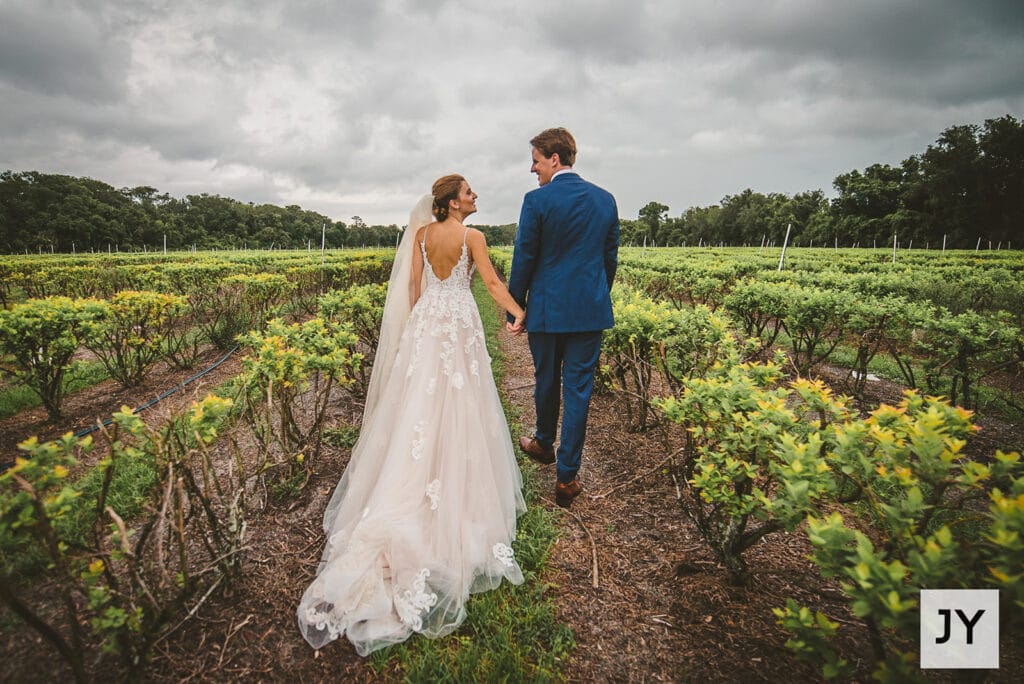 bride and groom holding hands walking through blueberry field