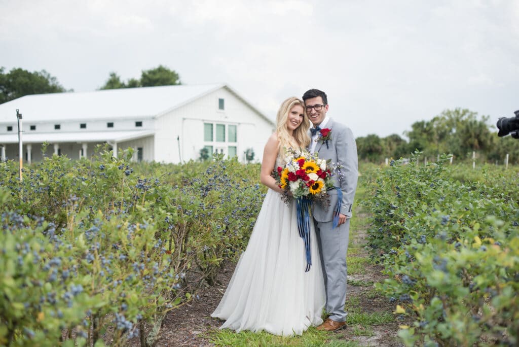 bride and groom in blueberry field in front of white barn