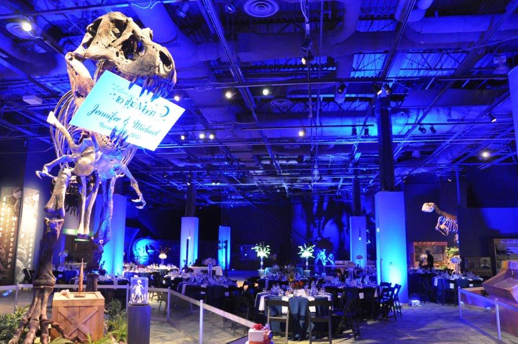 wedding reception with dinosaur