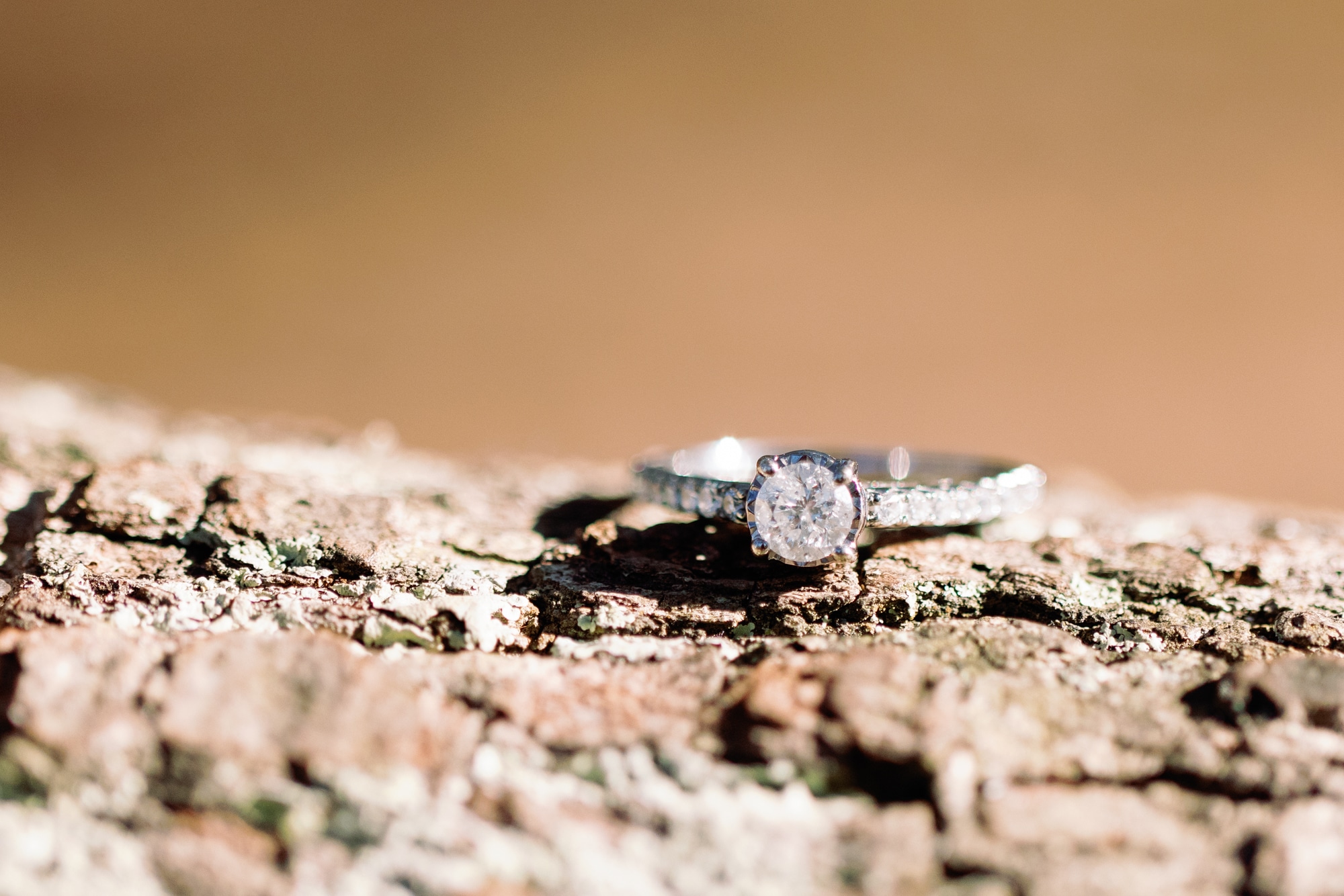 sanibel marriage proposal ring