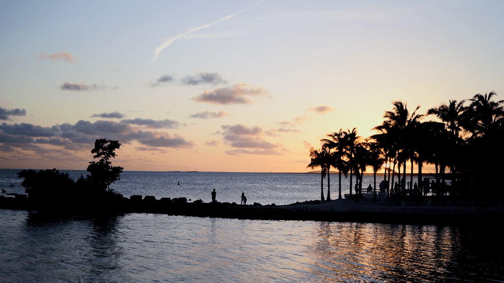 sunset photograph with palm trees silhouetted by Lexi Rabelo Films