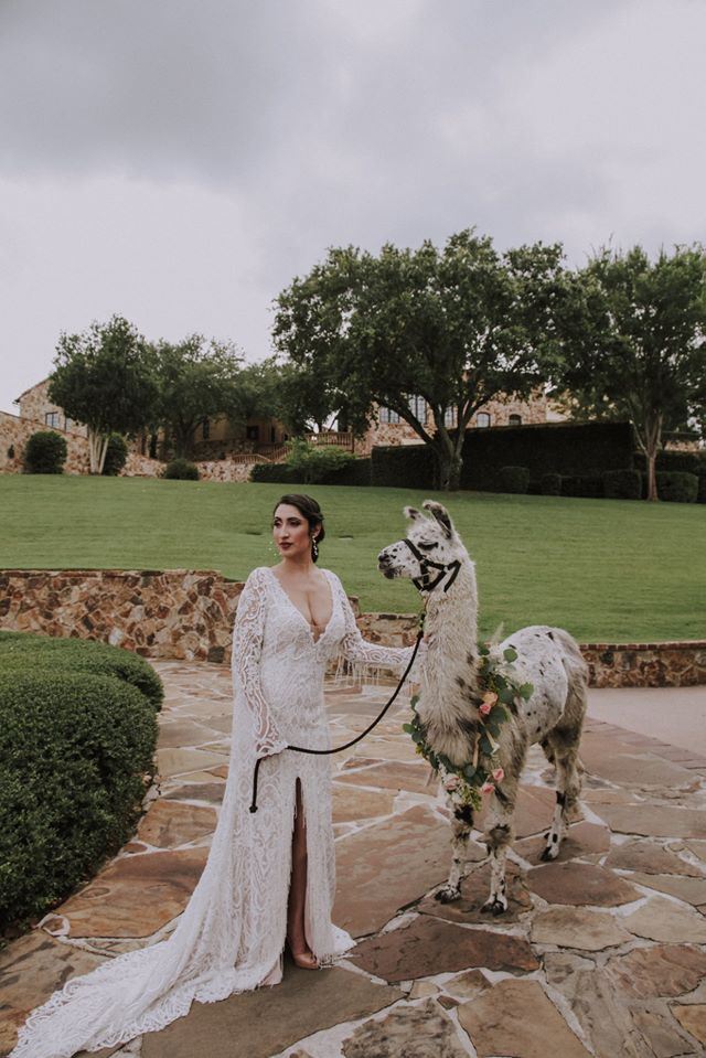 Beautiful Creatures Farm To You Revue bride with llama