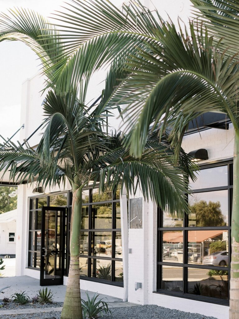 exterior of modern white building with black accents and palm trees at Haus 820