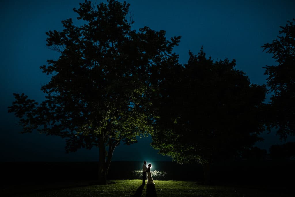couple under moonlight and trees by Roy Serafin Photo Company