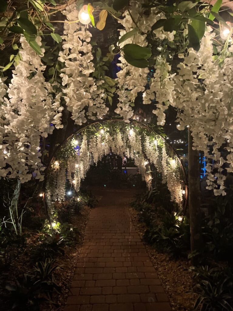 white wisteria and market lights tunnel