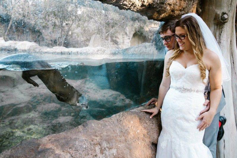 bride and groom smiling at alligator in the Central Florida Zoo & Botanical Gardens