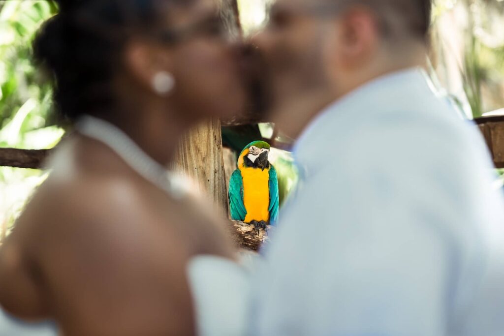 wedding couple kissing with a parrot closely watching them at the Central Florida Zoo & Botanical Gardens