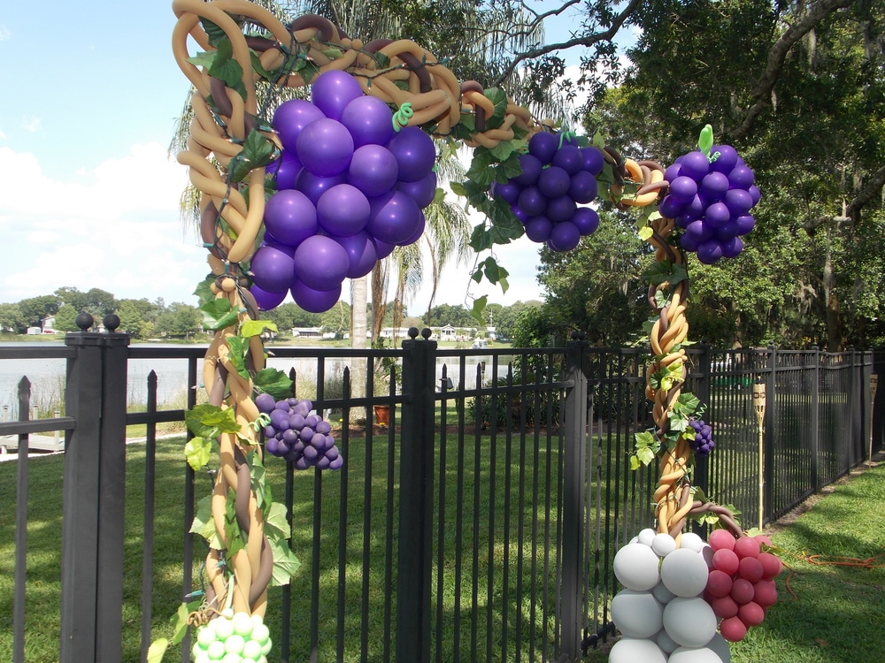 vineyard grapes in balloons by Meisner Productions