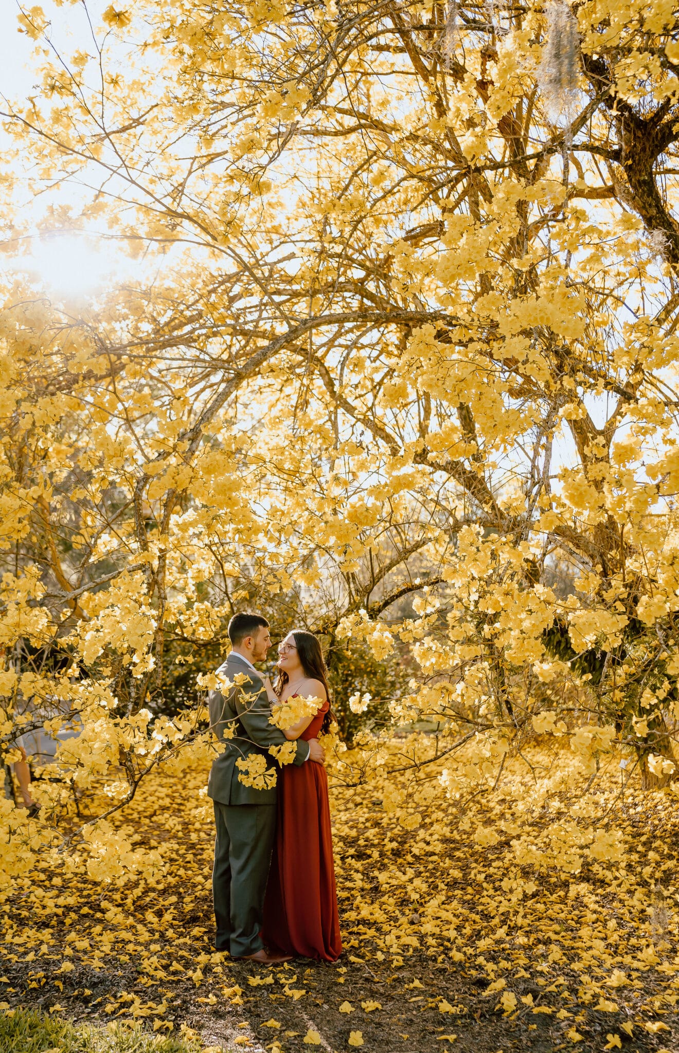 couple under yellow blossomed tree hugging at Leu Gardens during their Botanical Gardens Marriage Proposal