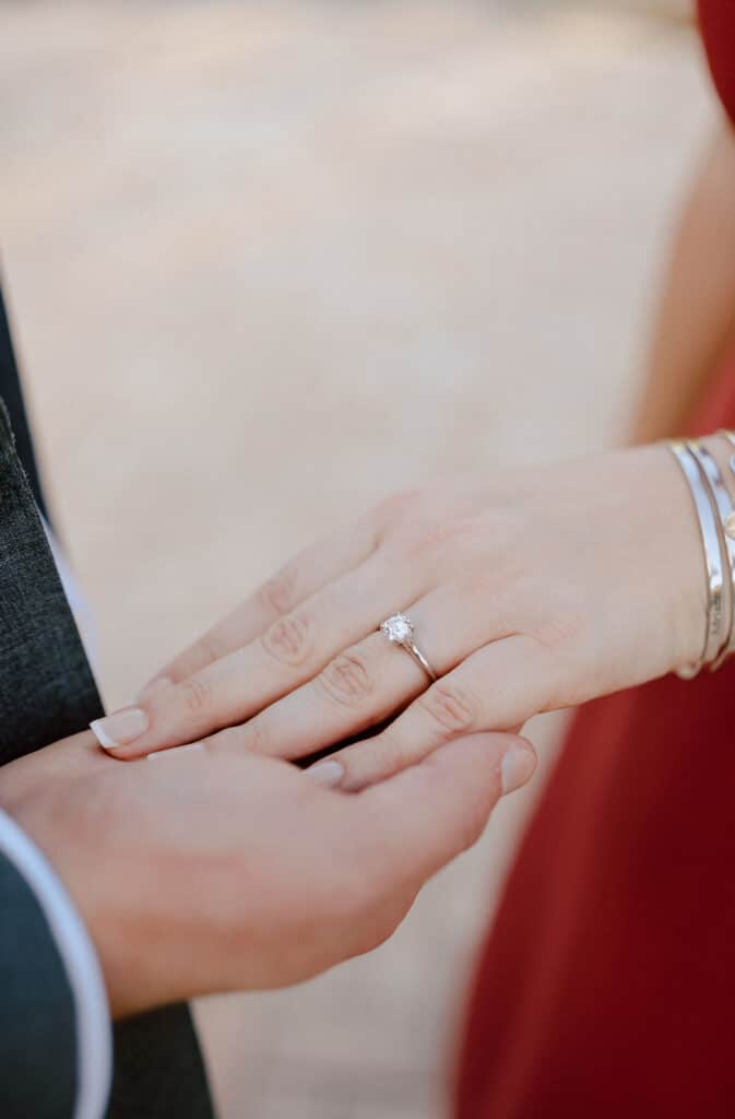 engagement ring photo at Leu Gardens