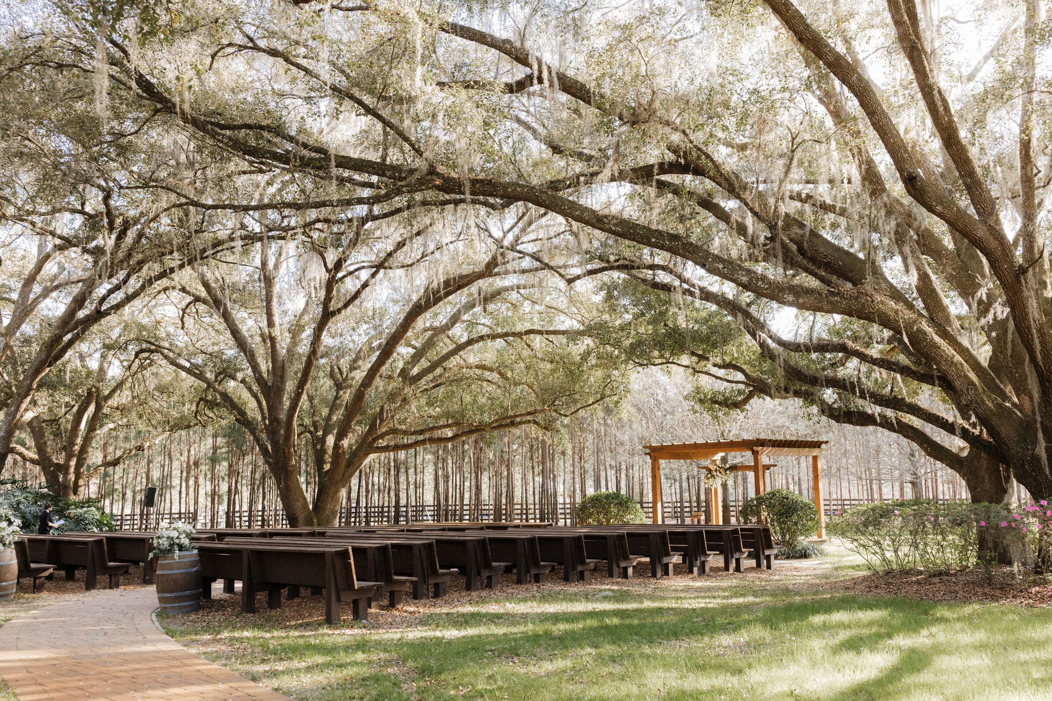 Wooden benches and a pergola set up for a wedding under mature oak trees