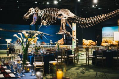 Wedding reception set up in the Orlando Science Center in the dinosaur room