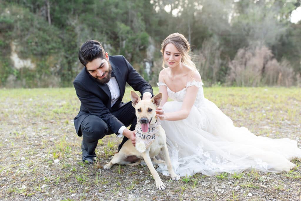 bride and groom posing with their dog for a wedding photo by Amy Britton Photography