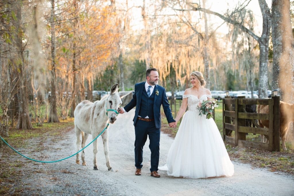 groom holding brides hand and onto a bridle of a burro walking down a lane in the woods coordinated by SMS Events & Design