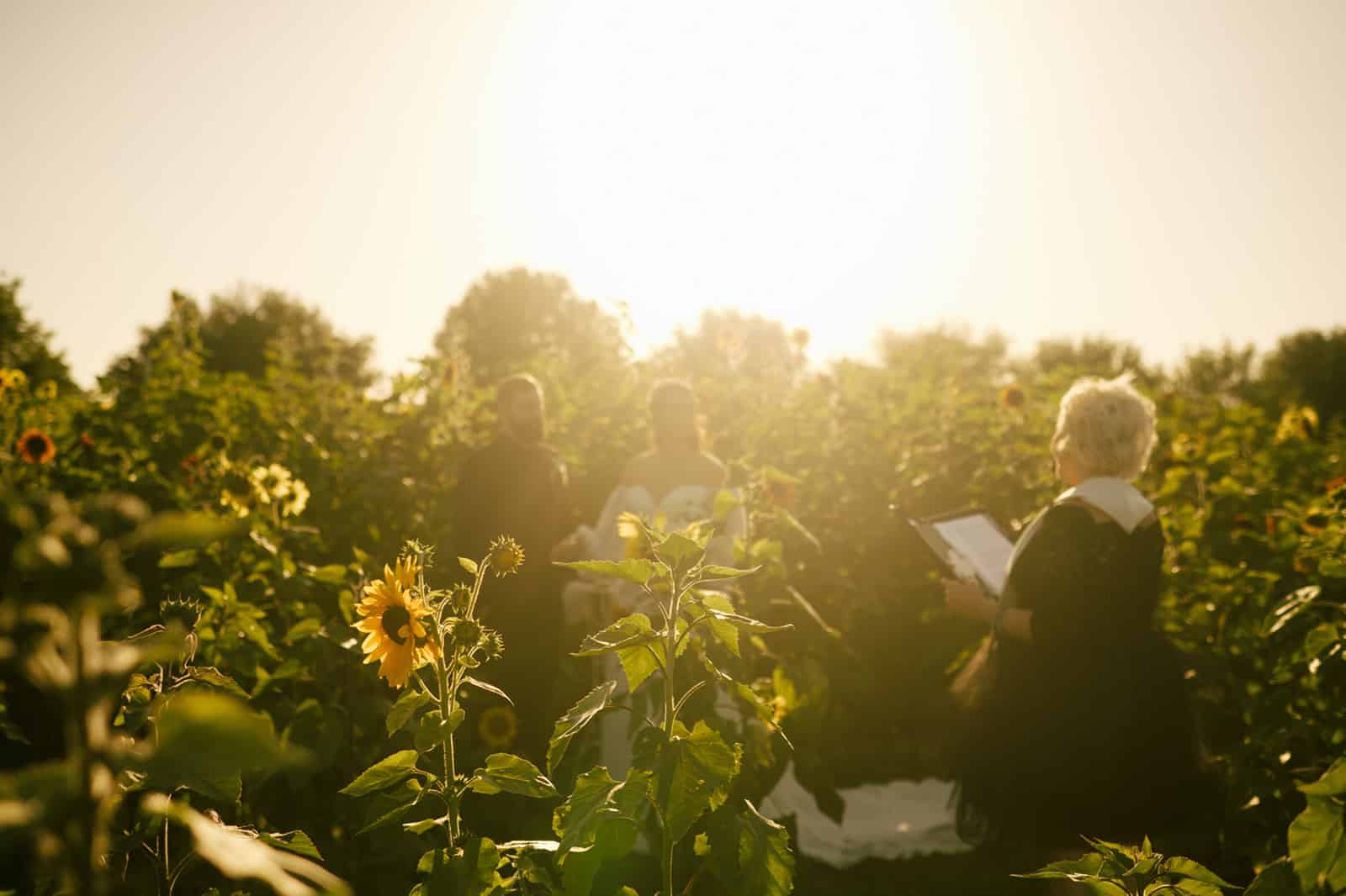 couple stand together in sunflower field facing woman holding book open wearing all black surrounded by sunflowers