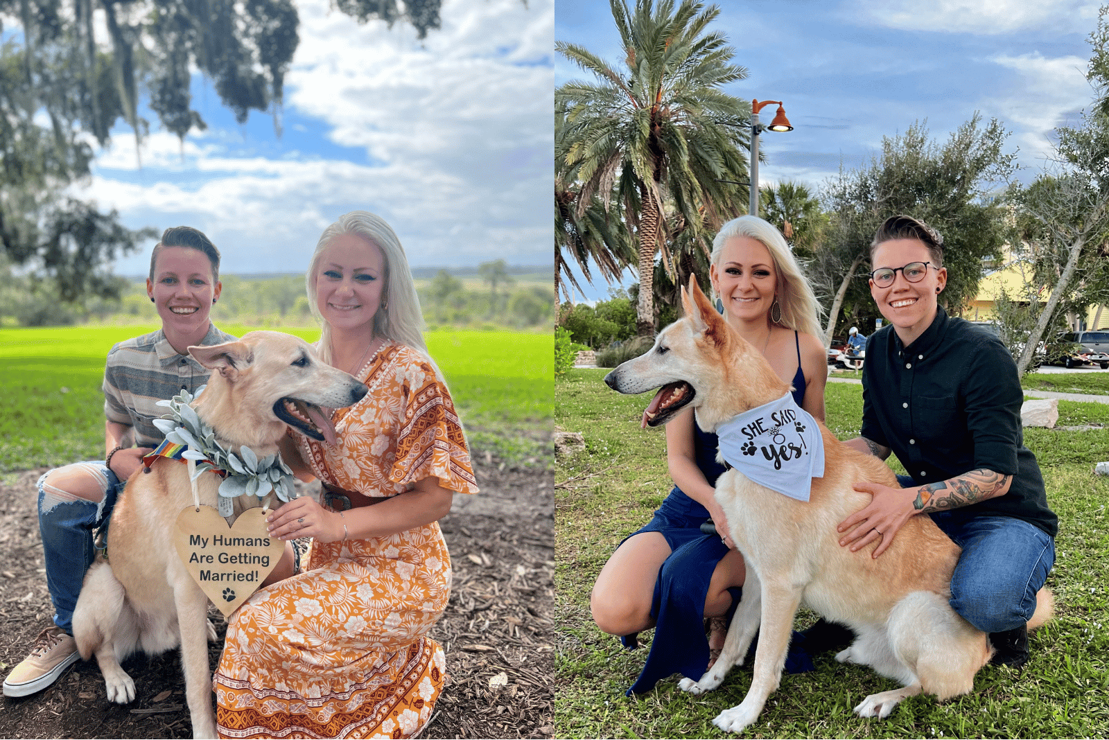 two pictures collaged together of a couple posing down with their dog wearing cute bandana's and signs from a marriage proposal outside