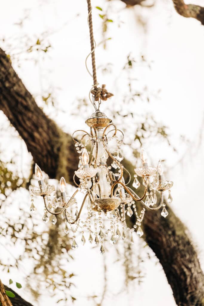 cyrstal chandelier hanging in an oak tree at Bending Branch Ranch in New Smyrna Beach, FL