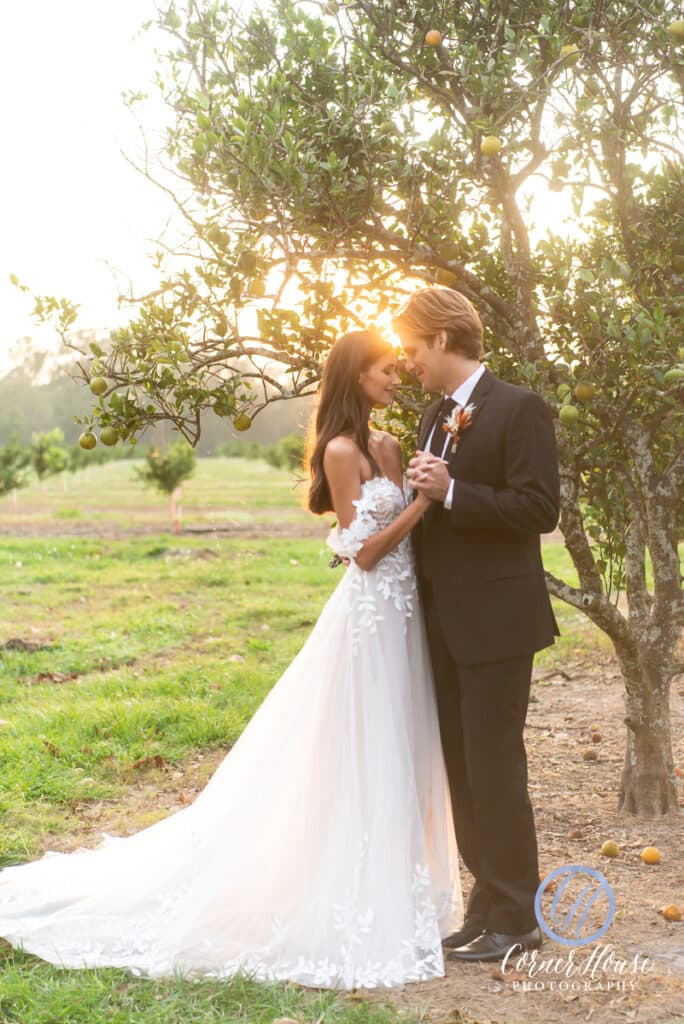 bride and groom kissing under a tree in a field at Ever After Farms Citrus Barn