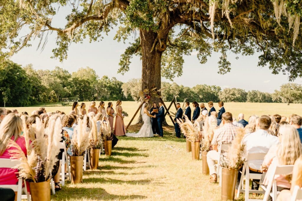 outdoor wedding reception with enormous oak tree at the end of the aisle at October Oaks Farm