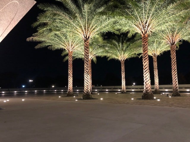 uplit giant palms at the Winter Park Events Center