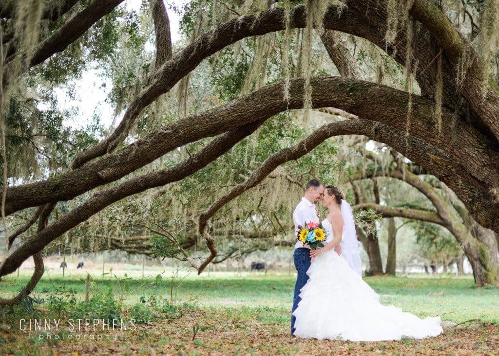 bride and groom having a moment under the arch of oak trees and canopy of Spanish moss at The Red Barn at Bushnell