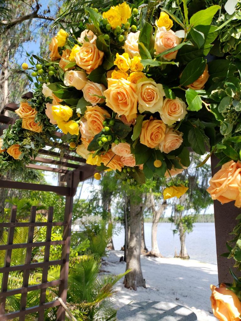 gazebo filled with yellow roses by Ian Tafoya Designs
