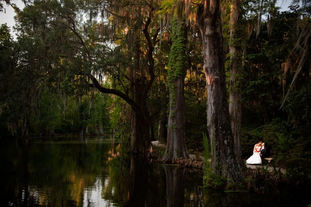 bright light of bride and groom in a dark swamp by Evan Hampton Photography
