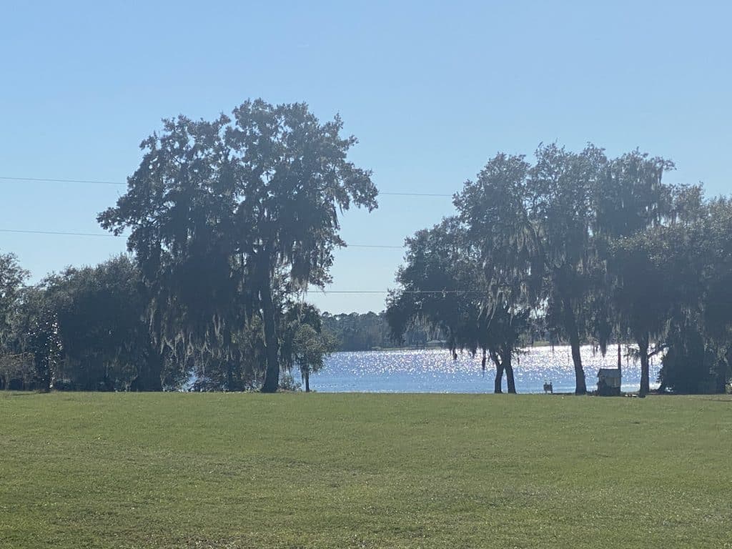 A view of Buck Lake from the venue, surrounded by trees, Central, FL
