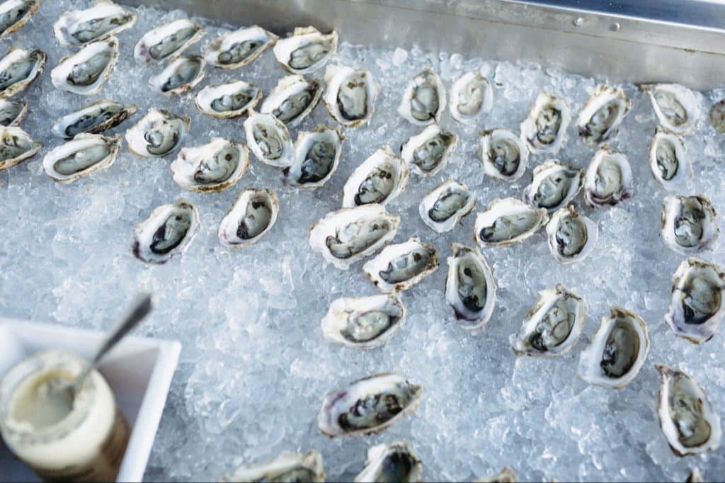 oysters laid out in a bed of crushed ice in a visually appealing cooler, Orlando, FL